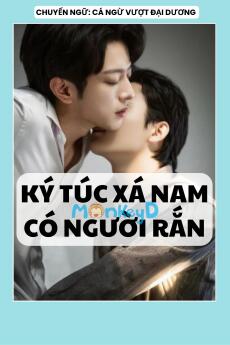 KÝ TÚC XÁ NAM CÓ NGƯỜI RẮN