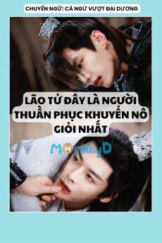 LÃO TỬ ĐÂY LÀ NGƯỜI THUẦN PHỤC KHUYỂN NÔ GIỎI NHẤT