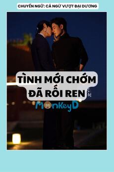 TÌNH MỚI CHỚM ĐÃ RỐI REN