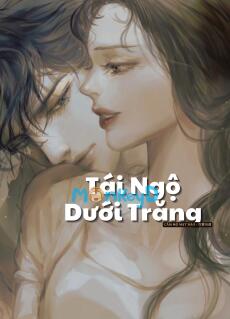 Tái Ngộ Dưới Trăng