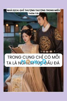 TRONG CUNG CHỈ CÓ MỖI TA LÀ NGHIÊM TÚC ĐẤU ĐÁ