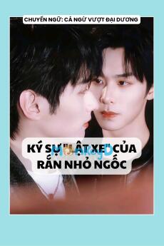 KÝ SỰ "LẬT XE" CỦA RẮN NHỎ NGỐC