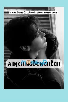 A ĐỊCH NGỐC NGHẾCH