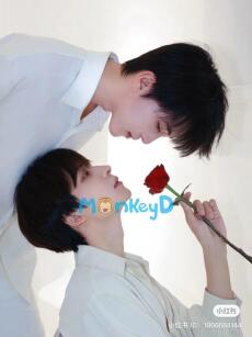 Hoa Quỳnh Trong Sương Đêm