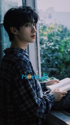 Hồi Ứng Năm Năm