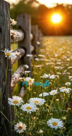 NGUYỆT MÃN VÂN HƯU