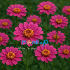 Phò mã của ta không thể lạnh