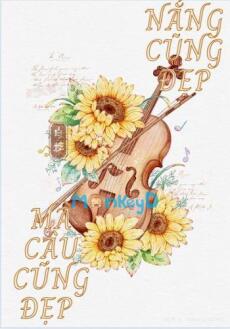 Nắng cũng đẹp, mà cậu cũng đẹp