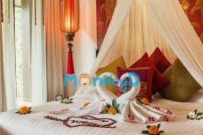 BẠCH NGUYỆT QUANG CỦA CHỒNG THIẾT KẾ NHÀ TÂN HÔN CHO TÔI