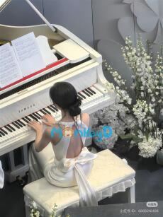 Chiếc Xe Phản Bội