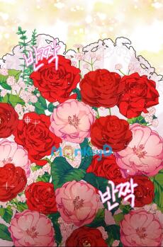 Hôm Nay Lại Lại Lại Vẫn Chưa Ly Hôn [Xuyên Thư]