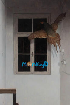 Thoát Khỏi Lồng Giam