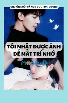 TÔI NHẶT ĐƯỢC ẢNH ĐẾ MẤT TRÍ NHỚ