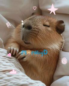 Thái Tử Gia Giới Kinh Thành Và “Capybara Chim Hoàng Yến”