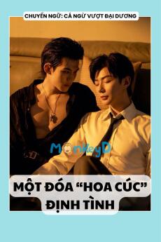 MỘT ĐÓA “HOA CÚC” ĐỊNH TÌNH