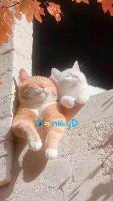 Thẩm Tổng đi khám nam khoa