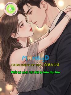 Mất trí nhớ, tôi đòi ly hôn đại lão