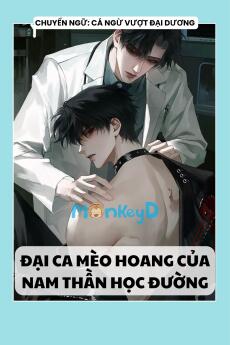 ĐẠI CA MÈO HOANG CỦA NAM THẦN HỌC ĐƯỜNG