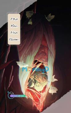 Phá Kén Hóa Bướm