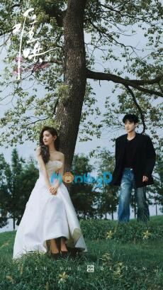 Tổng Tài Trong Truyện Tôi Viết Tìm Đến Tôi Ngoài Đời