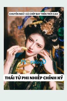 THÁI TỬ PHI NHIẾP CHÍNH KÝ