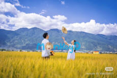 MÙA LÚA CHÍN ĐỢI NGƯỜI TRỞ VỀ