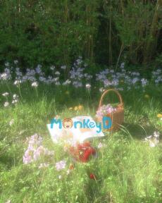 XUYÊN ĐẾN MƯỜI NĂM SAU