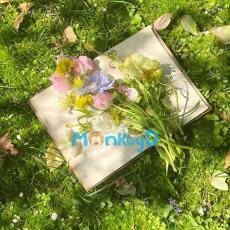 CẨM NANG PHÁT ĐIÊN TRONG TRUYỆN PO