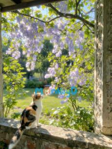 BỐ MẸ CỦA TÔI