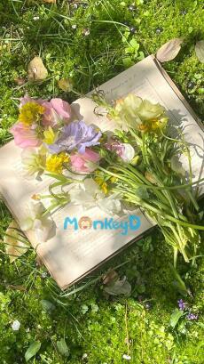 THIÊN KIM THẬT NHẸ NHÀNG XỬ GỌN