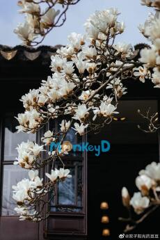 PHẬT KHÔNG ĐỘ TÔI