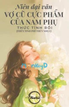 Niên Đại Văn: Vợ Cũ Cực Phẩm Của Nam Phụ Thức Tỉnh Rồi.