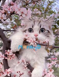 Xuyên Thành Nữ Phụ Ác Độc, Tôi Dựa Vào Lối Sống "Mặc Kệ Đời" Mà Đạt Được Kết Cục Đại Đoàn Viên HE