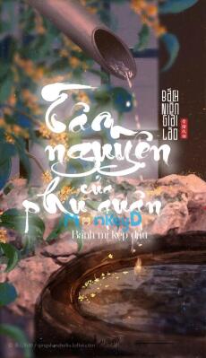 TÂM NGUYỆN CỦA PHU QUÂN