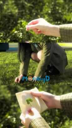 Khi Sự Tử Tế Đi Quá Giới Hạn