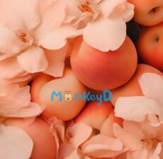 HƯƠNG ĐÀO MẬT KHÓ QUÊN