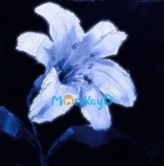 Có Câu Chuyện Nào Nam Chính Tự Ti Nhưng Vô Cùng Yêu Nữ Chính Không?