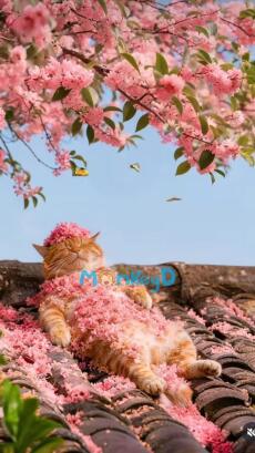 Xuyên Không Có Bạn Thân Làm Đại Công Chúa, Tôi Nằm Ngửa Cũng Thắng!
