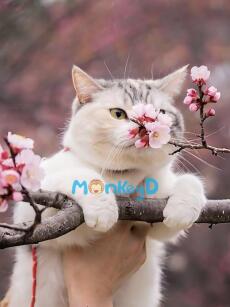 Cá Mặn Xuyên Thành Nữ Phụ Phản Diện Trong Mạt Thế