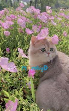 Hồ Nước Năm Ấy Không Còn Lạnh